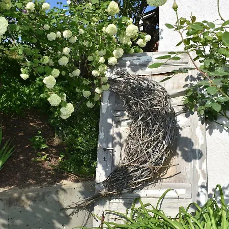 Wiedergruen Апартаменты *