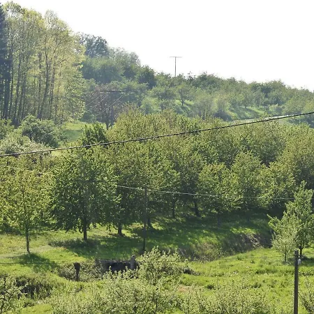 Wiedergruen Дурбах