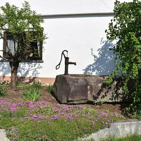 Апартаменты Wiedergruen *